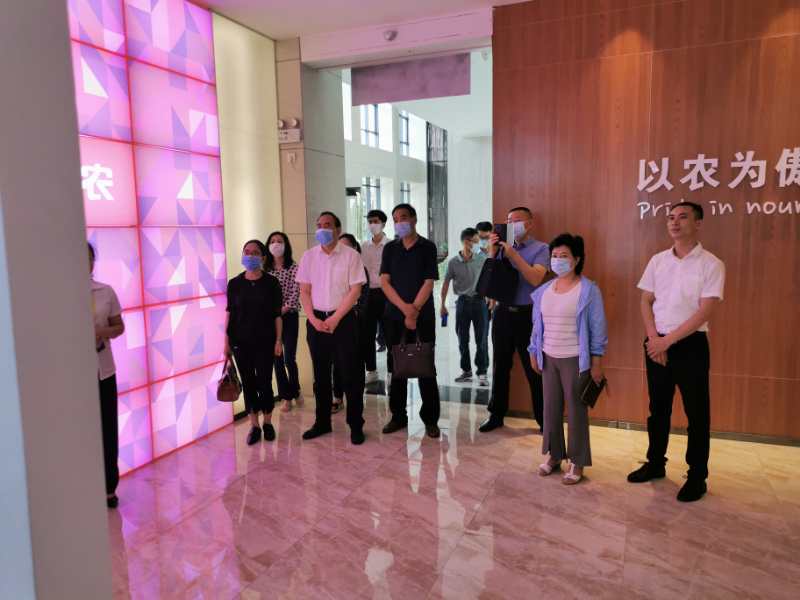 熟妇丰满多毛的大隂户