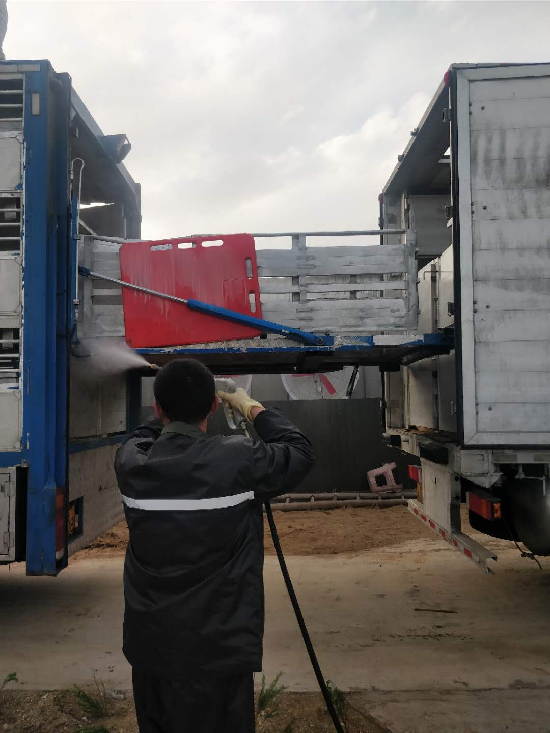 熟妇丰满多毛的大隂户