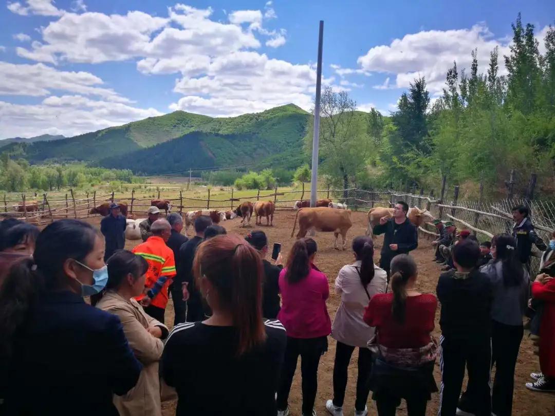 熟妇丰满多毛的大隂户