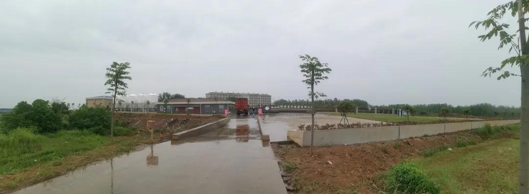 熟妇丰满多毛的大隂户