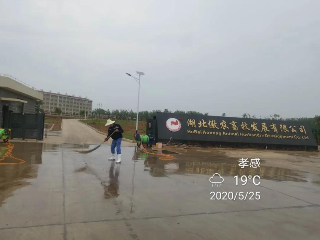 熟妇丰满多毛的大隂户