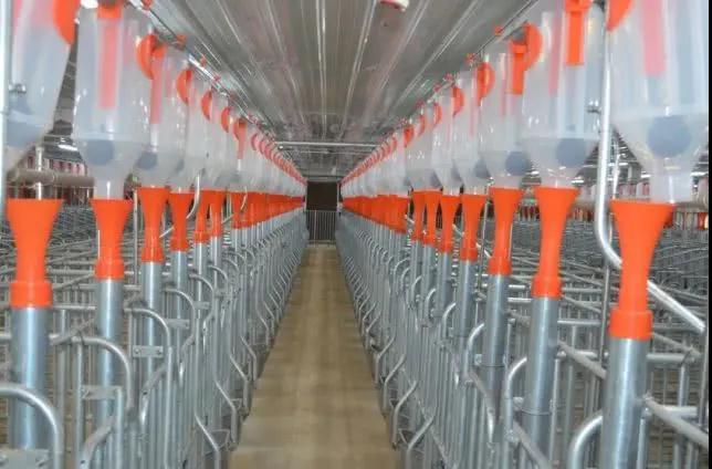 熟妇丰满多毛的大隂户