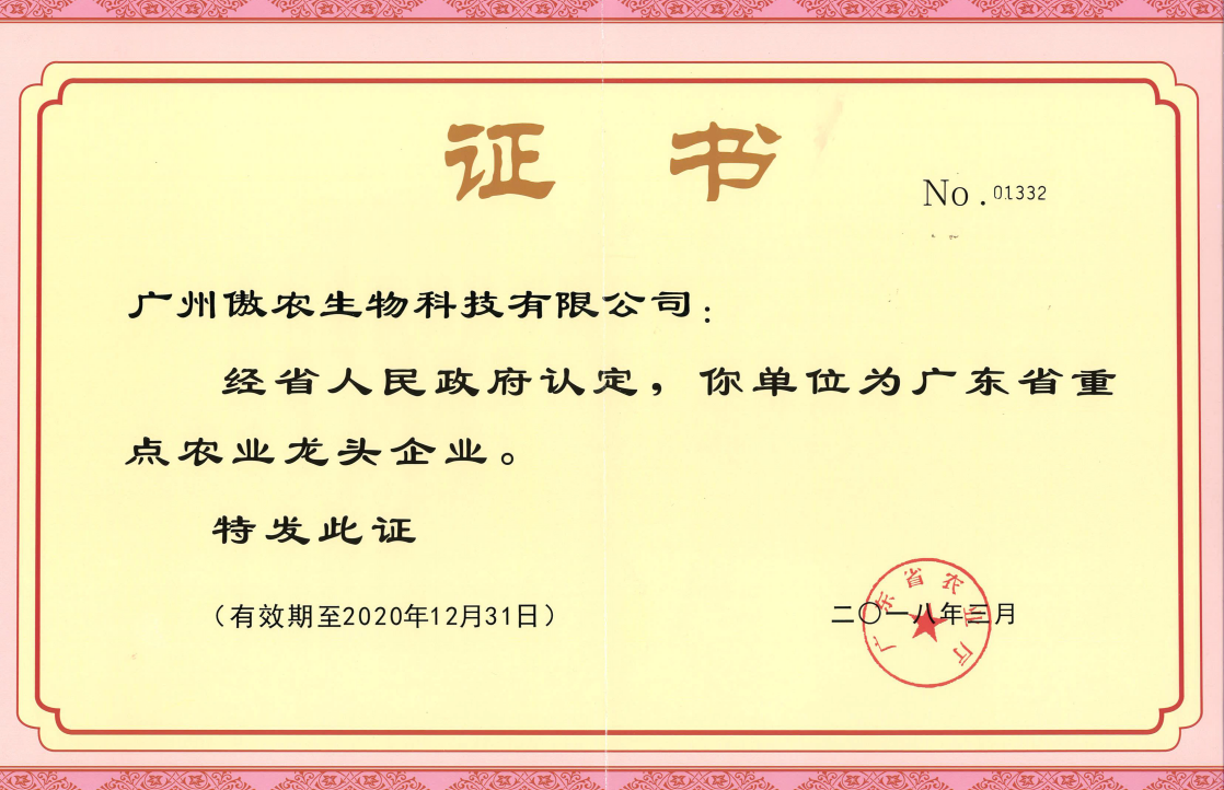 熟妇丰满多毛的大隂户