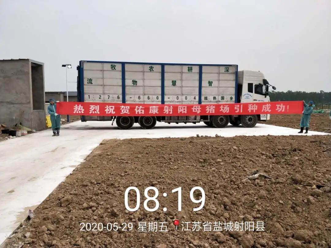 熟妇丰满多毛的大隂户