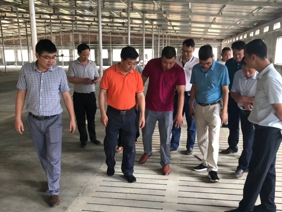 熟妇丰满多毛的大隂户