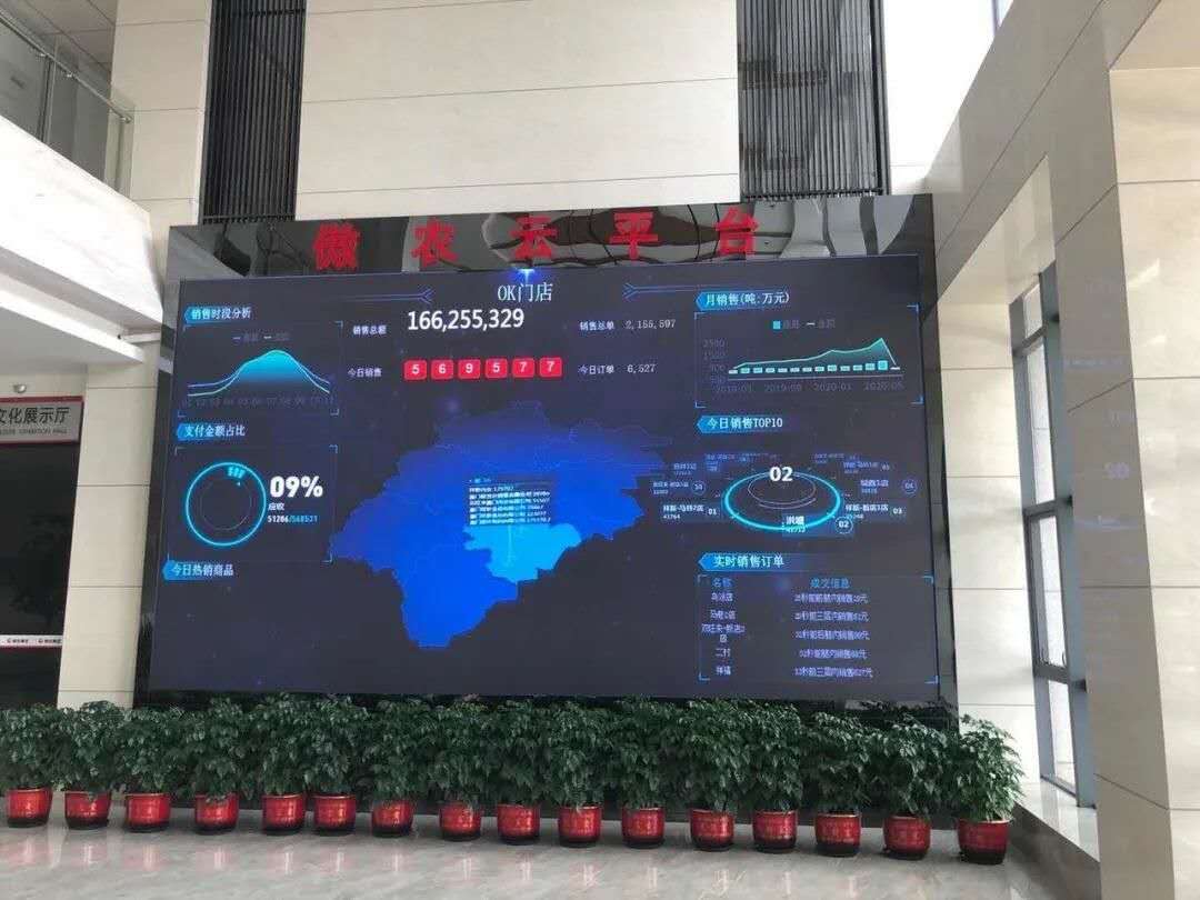 熟妇丰满多毛的大隂户