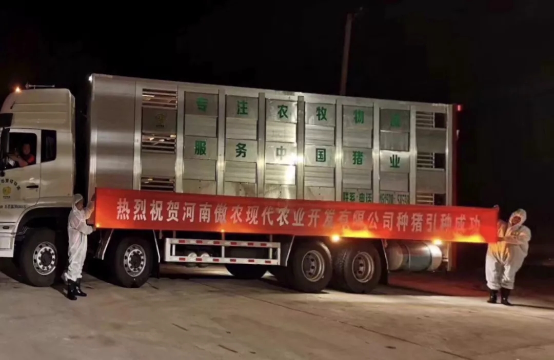 熟妇丰满多毛的大隂户