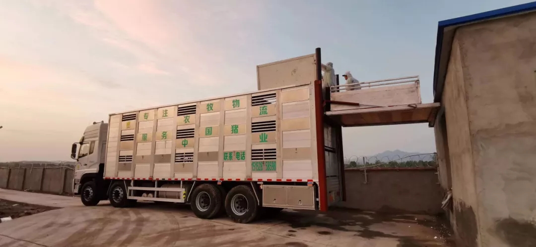 熟妇丰满多毛的大隂户