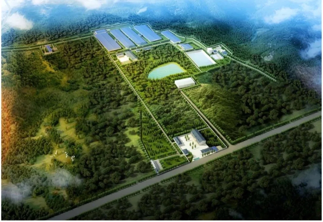 熟妇丰满多毛的大隂户