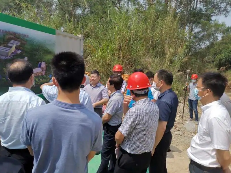 熟妇丰满多毛的大隂户