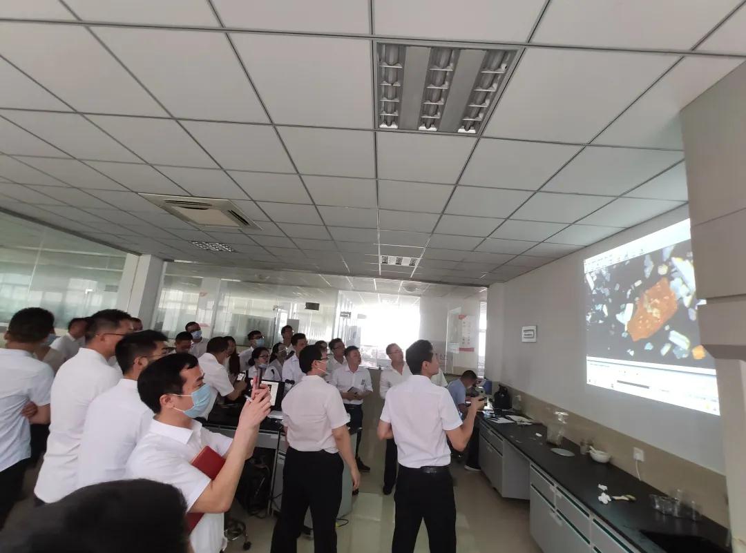 熟妇丰满多毛的大隂户