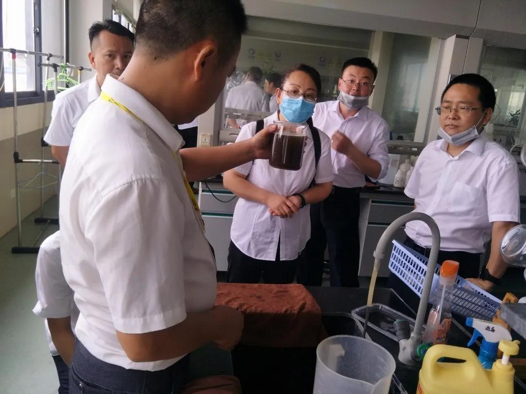 熟妇丰满多毛的大隂户