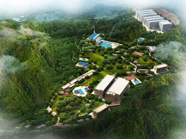 熟妇丰满多毛的大隂户