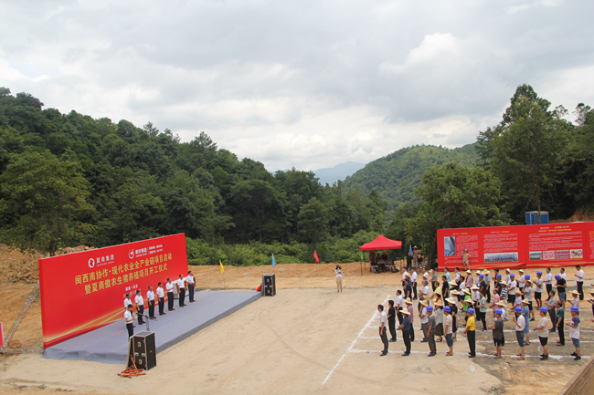 熟妇丰满多毛的大隂户