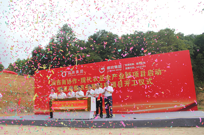 熟妇丰满多毛的大隂户