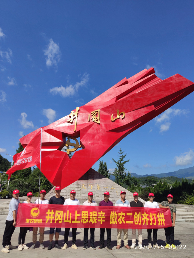 熟妇丰满多毛的大隂户