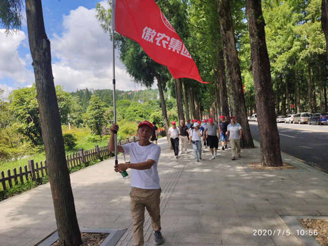 熟妇丰满多毛的大隂户