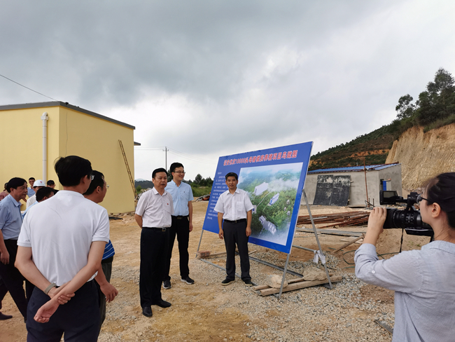 熟妇丰满多毛的大隂户