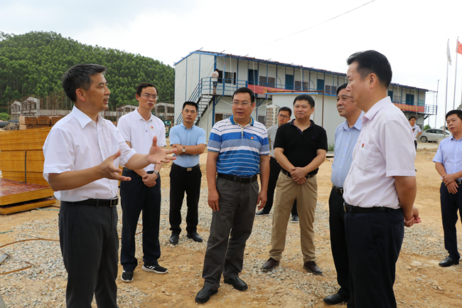 熟妇丰满多毛的大隂户