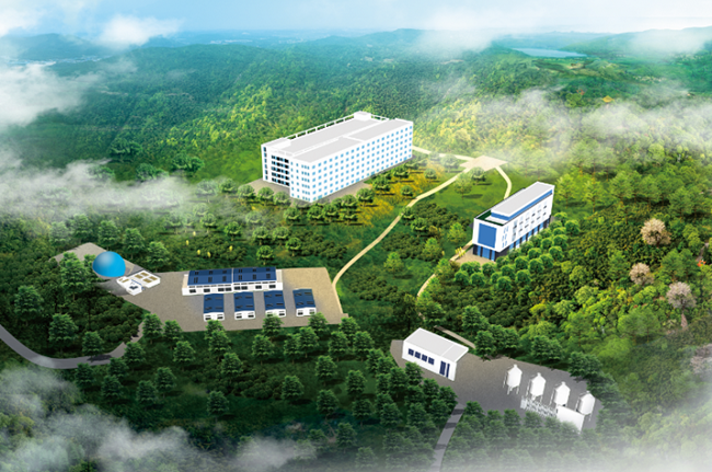 熟妇丰满多毛的大隂户