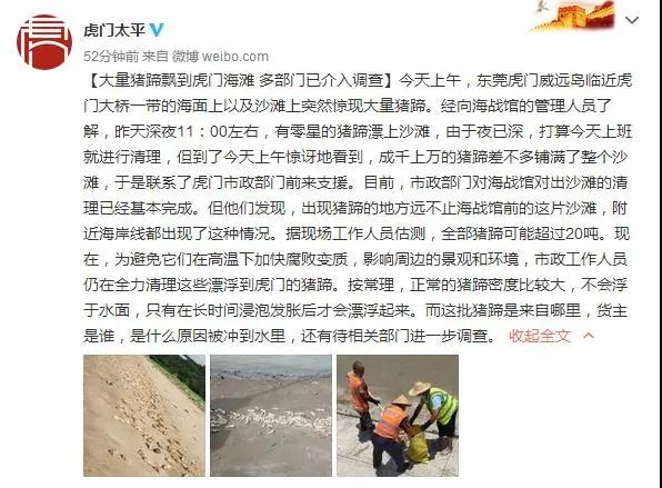 熟妇丰满多毛的大隂户