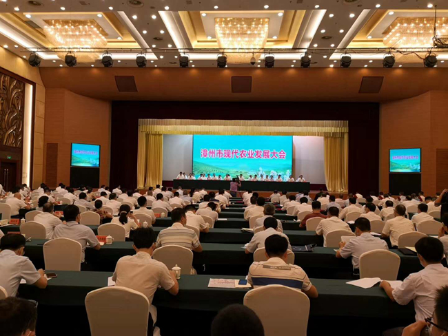 熟妇丰满多毛的大隂户