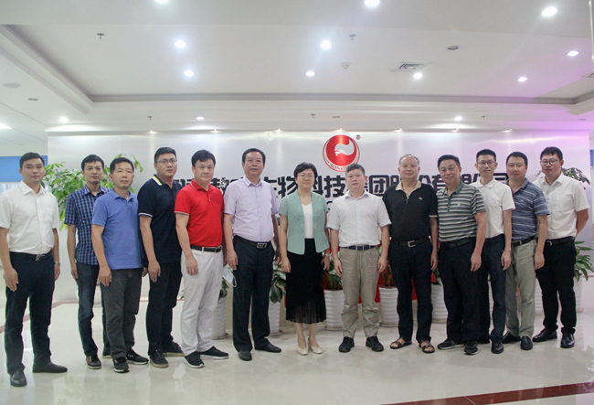 熟妇丰满多毛的大隂户