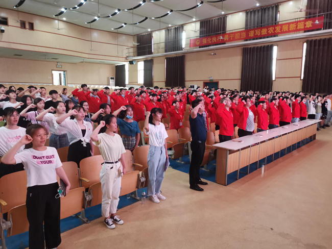 熟妇丰满多毛的大隂户