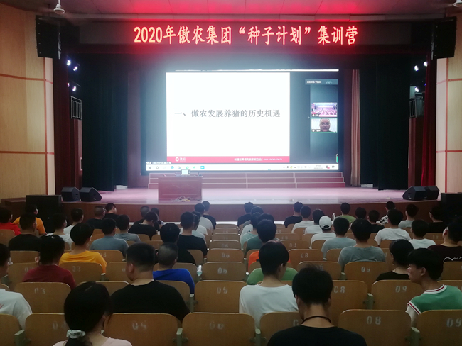 熟妇丰满多毛的大隂户