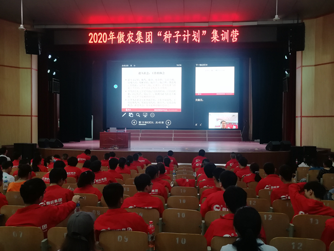 熟妇丰满多毛的大隂户