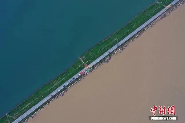 熟妇丰满多毛的大隂户