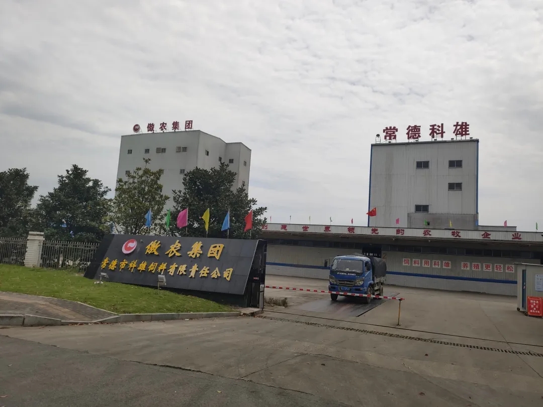 熟妇丰满多毛的大隂户