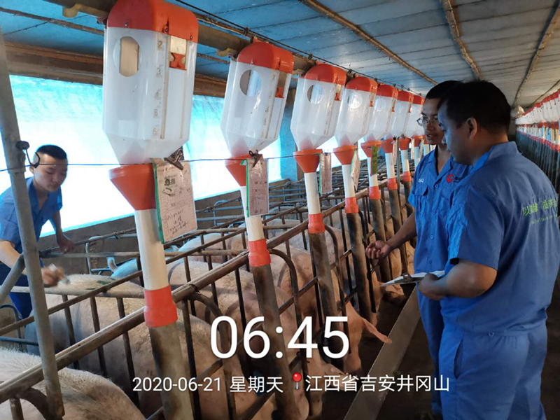 熟妇丰满多毛的大隂户