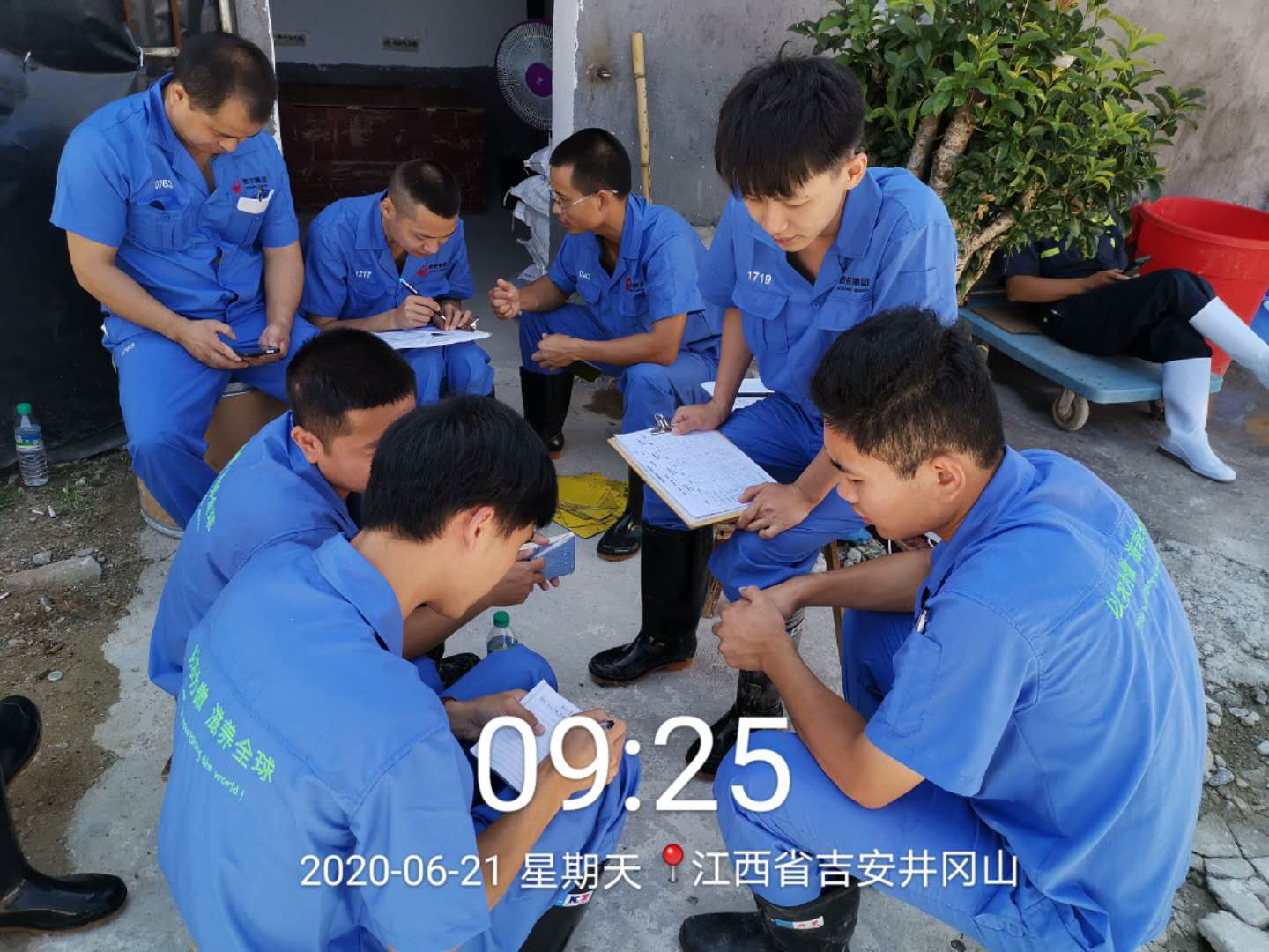 熟妇丰满多毛的大隂户