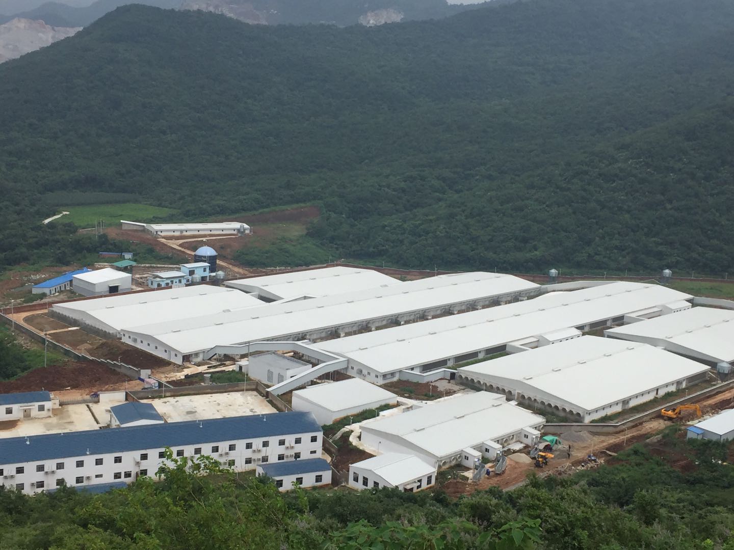 熟妇丰满多毛的大隂户