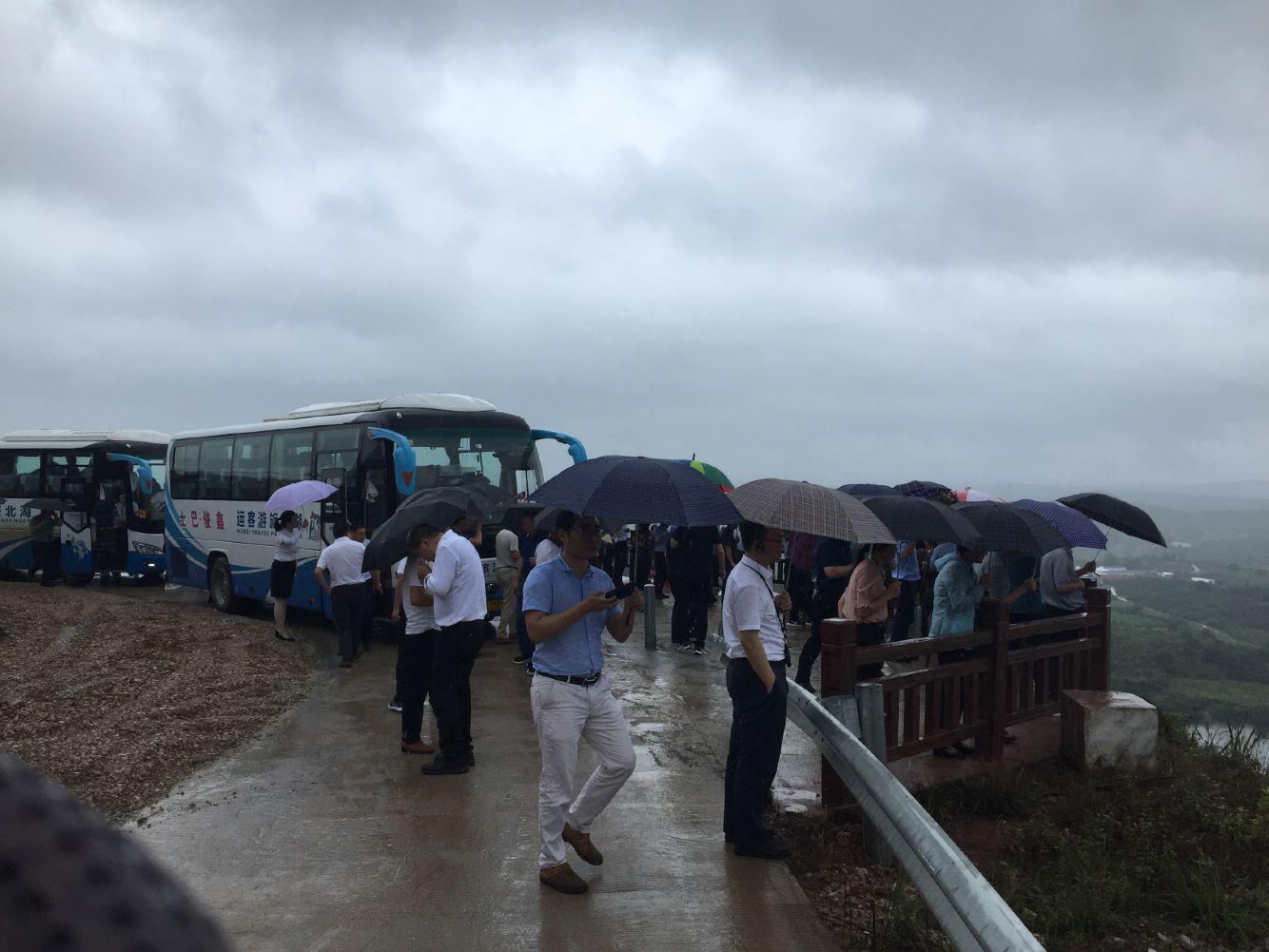 熟妇丰满多毛的大隂户