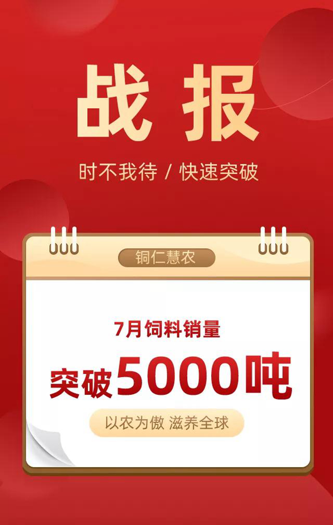 熟妇丰满多毛的大隂户