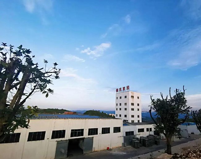 熟妇丰满多毛的大隂户