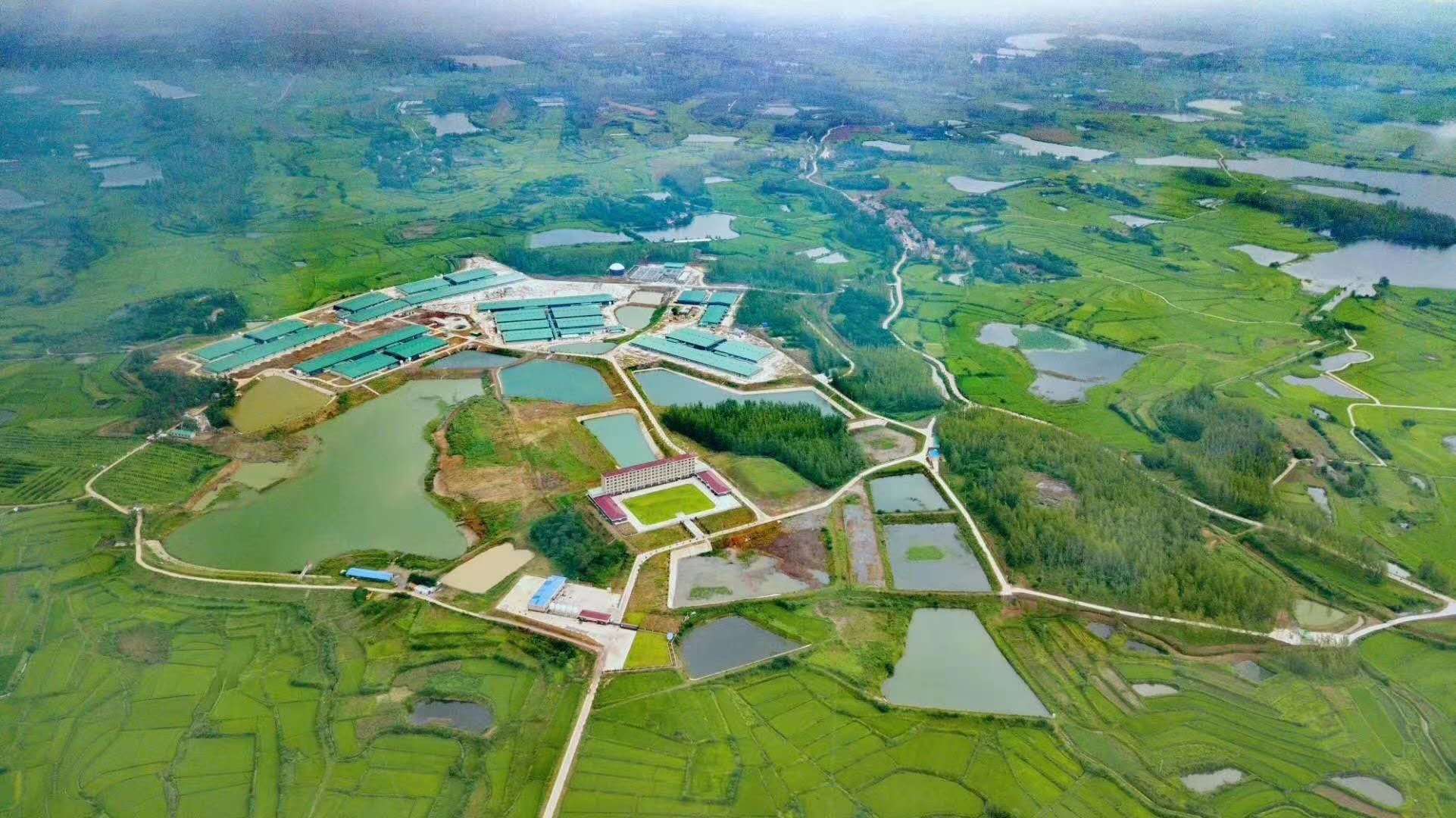 熟妇丰满多毛的大隂户