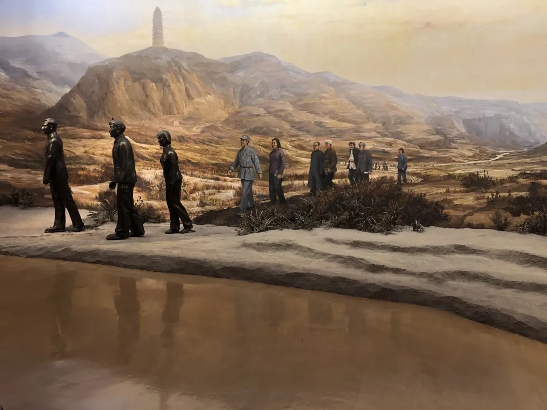 熟妇丰满多毛的大隂户