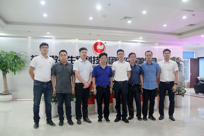 熟妇丰满多毛的大隂户