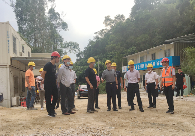 熟妇丰满多毛的大隂户