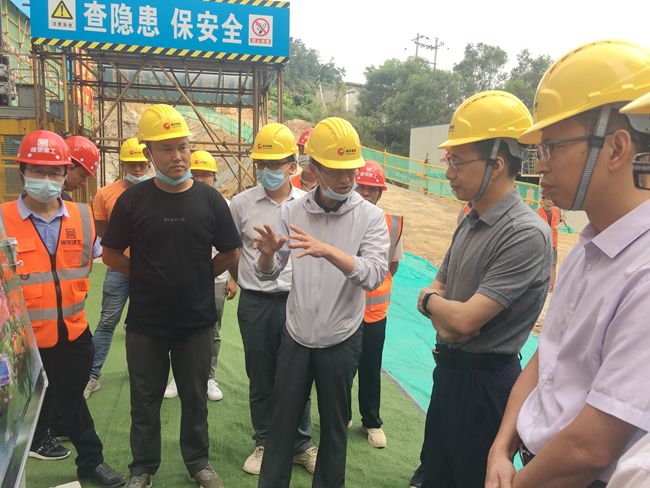 熟妇丰满多毛的大隂户