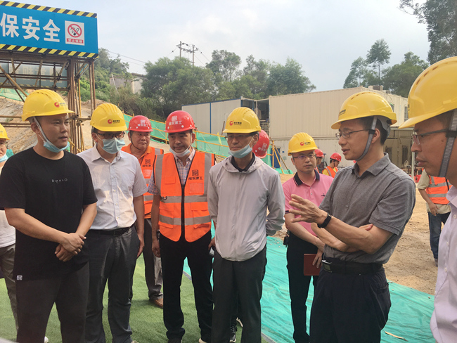 熟妇丰满多毛的大隂户