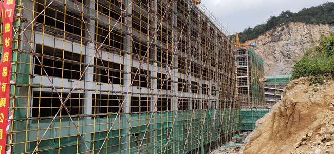 熟妇丰满多毛的大隂户