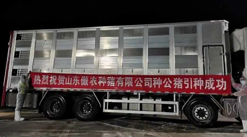 熟妇丰满多毛的大隂户