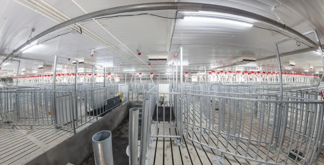 熟妇丰满多毛的大隂户