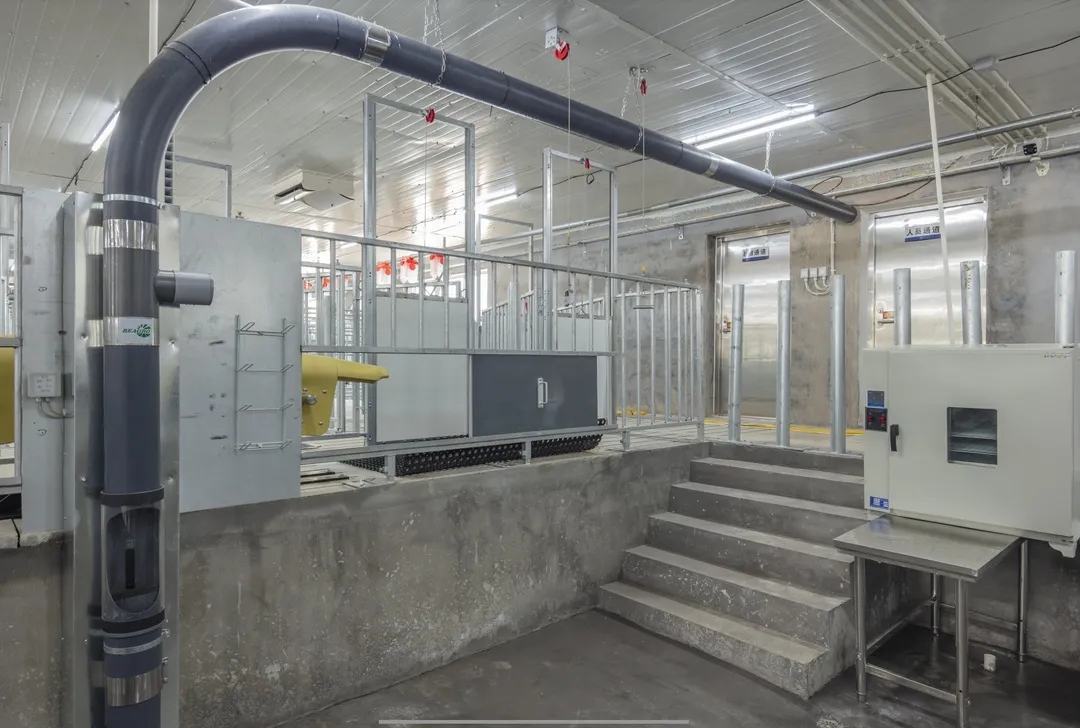 熟妇丰满多毛的大隂户