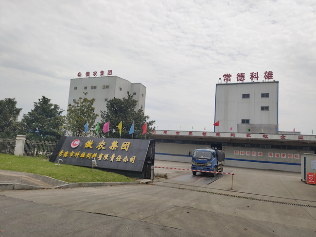 熟妇丰满多毛的大隂户