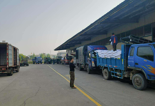 熟妇丰满多毛的大隂户